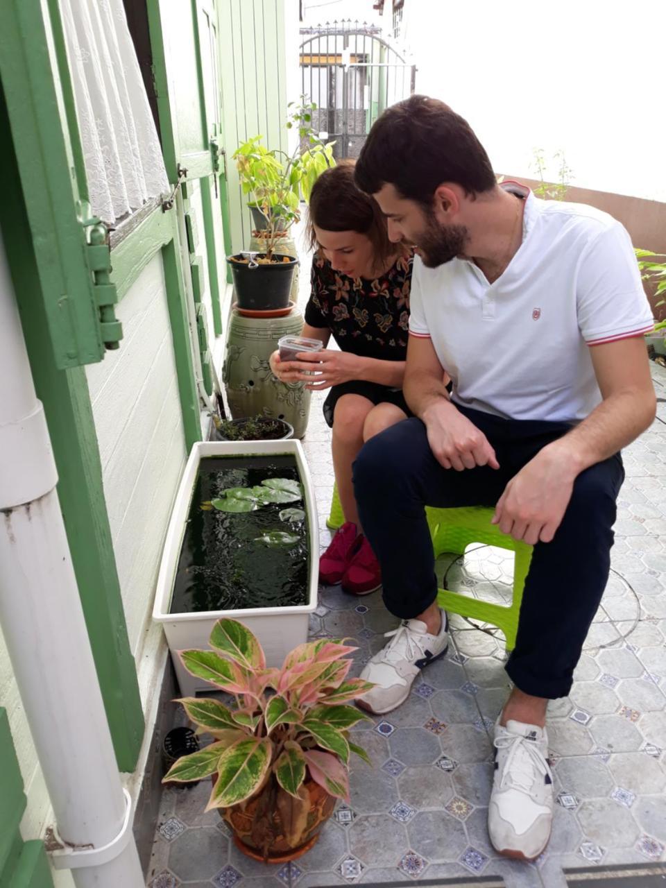 Green Teak House Bangkok Ngoại thất bức ảnh